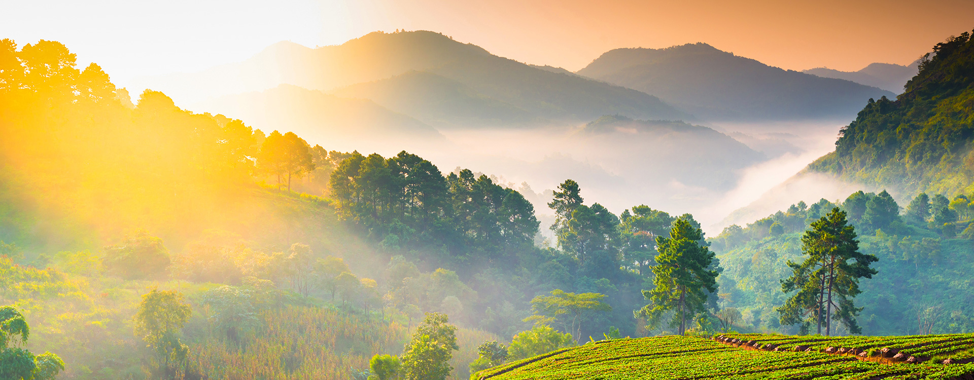 Sonnenaufgang in den Bergen | Tiger Balm